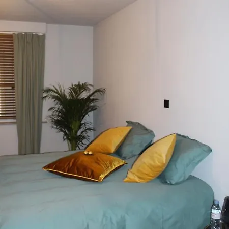 Appartement Maison Drappier